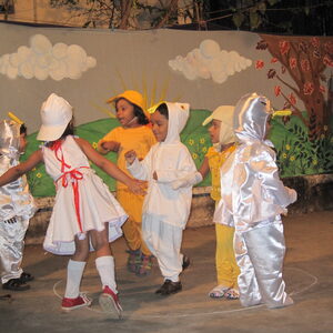 sday  2011 113