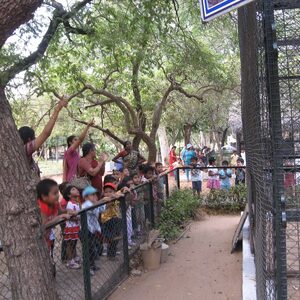 picnic2010 007