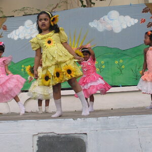 IMG 3964 001