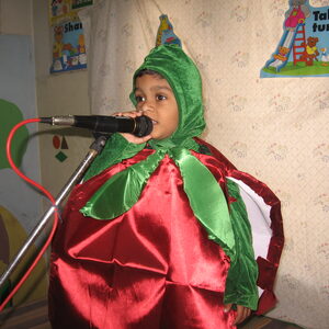 fancy dress 015