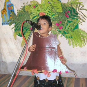 fancy dress 032