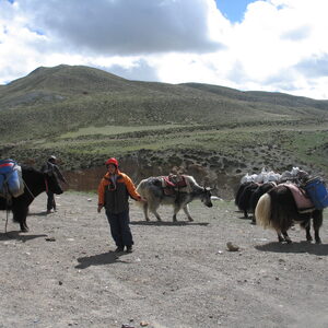kailash 152